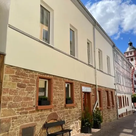 Schwanen In Der City