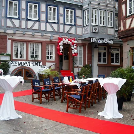 Schwanen In Der City Hotel