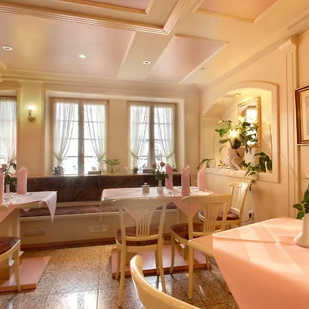 Schwanen In Der City Mosbach (Neckar-Odenwald)