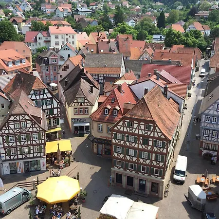 Schwanen 莫斯巴赫