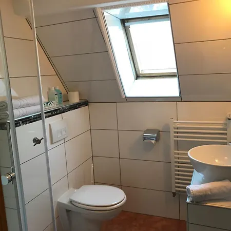 Schwanen In Der City 3* Mosbach (Neckar-Odenwald)