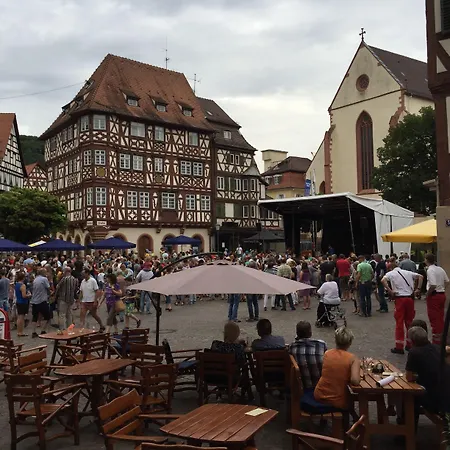 Schwanen In Der City Hotel Mosbach (Neckar-Odenwald)