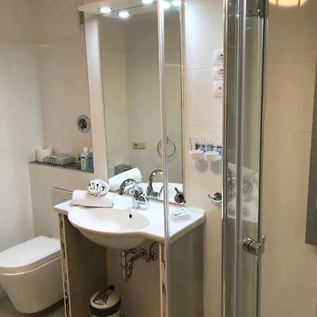 Schwanen In Der City Hotel 3*