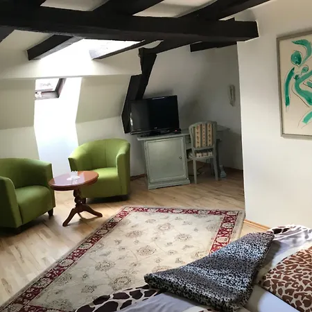 Schwanen In Der City Hotel Mosbach (Neckar-Odenwald)