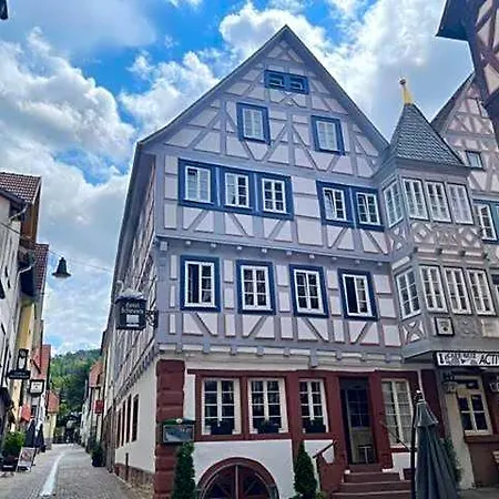Schwanen Otel Mosbach (Neckar-Odenwald)