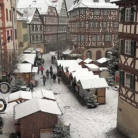 Schwanen