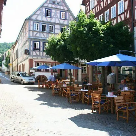 Schwanen فندق
