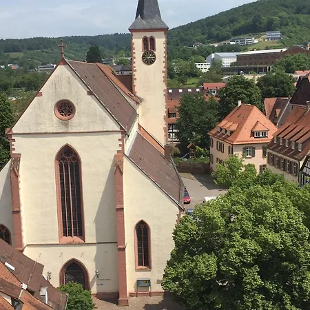 Schwanen فندق