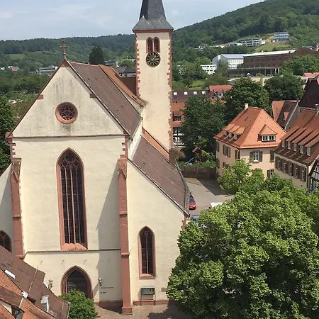 Schwanen In Der City Mosbach (Neckar-Odenwald)