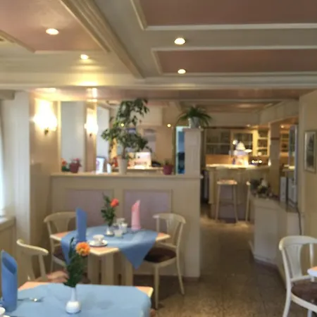 Schwanen In Der City Hotel 3*