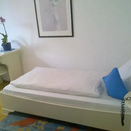 Hotel Schwanen In Der City